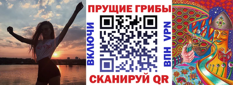 Галлюциногенные грибы мицелий  Торопец 